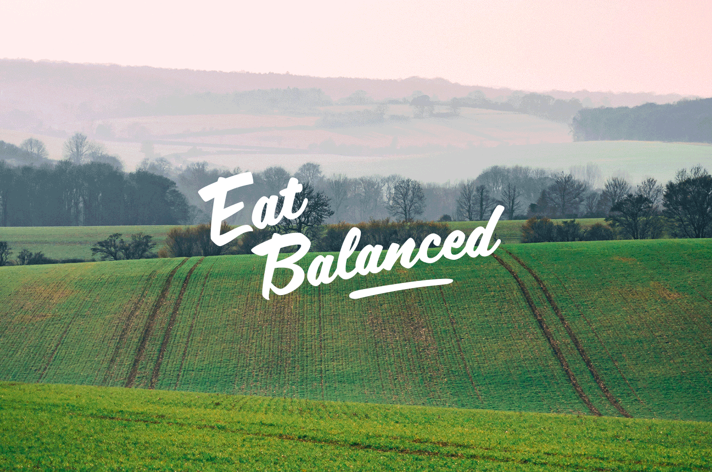 Weber_AHDB_eat-balanced_logo